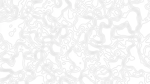 Stylized Topography Animation In Grayscale Loop Stock Footage 319219079