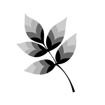 A stylized tree leaf. Vector illustration of a hand-drawn plant with lines. Stock Illustration