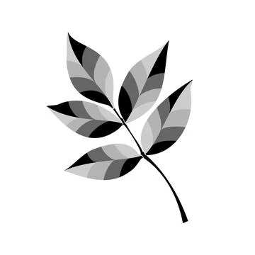 A stylized tree leaf. Vector illustration of a hand-drawn plant with lines. Stock Illustration