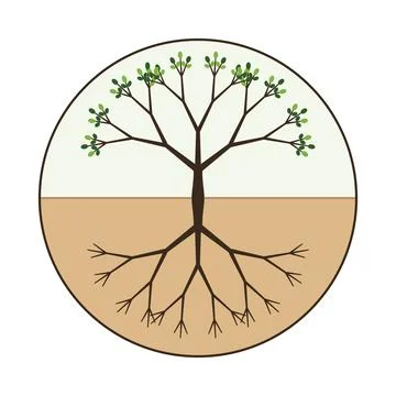 Stylized Tree With Roots And Branches In A Circle Illustrazione stock