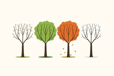 Stylized Trees Representing Four Seasons: Spring, Summer, Autumn, Winter Illustrazione stock