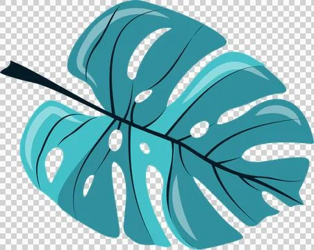 Stylized tropical leaf is floating in vector on transparent background with teal Stock Illustration