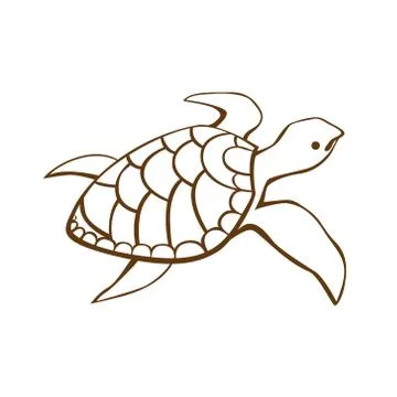 Stylized turtle Stock Illustration