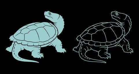 Stylized turtle silhouette icon in solid blue and thin white outline styles Stockillustratie