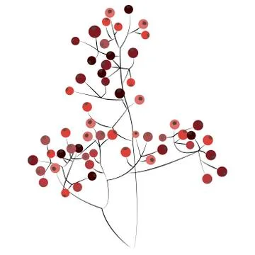 Stylized twigs with small red berries on a white background. Botanical Stock Illustration