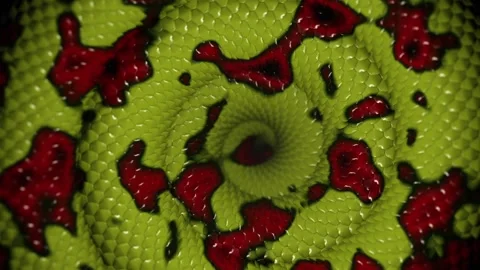 Stylized Uncoiling Snake Stock Footage 228822701