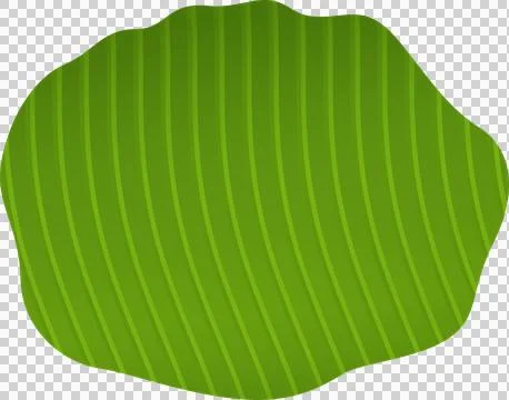 Stylized vector green leaf shape floating on transparent background, featuring Stock Illustration