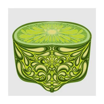 A stylized vector illustration of a lime cut with intricate patterns. A decor Illustrazione stock