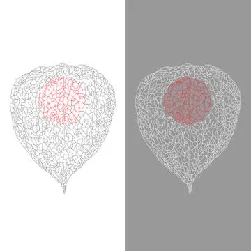 Stylized vector Physalis Illustrazione stock