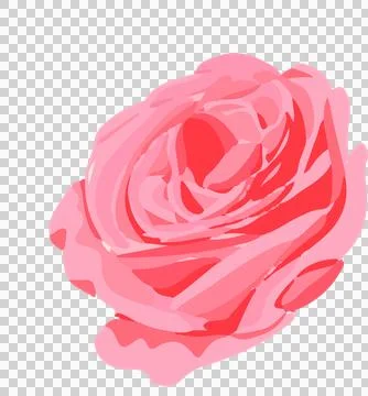Stylized vector rose bloom is showing swirling petal layers in pink tones on Illustrazione stock