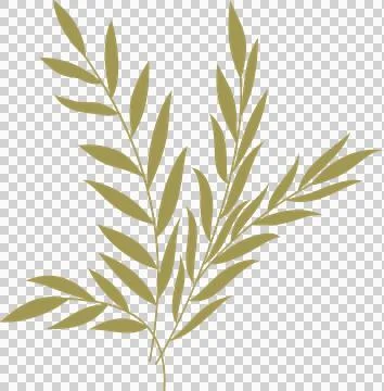 Stylized vector is showing three slender golden branches fanning leaves, Illustrazione stock