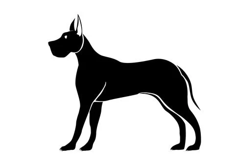 Stylized vector silhouette of a Great Dane over white background Illustrazione stock