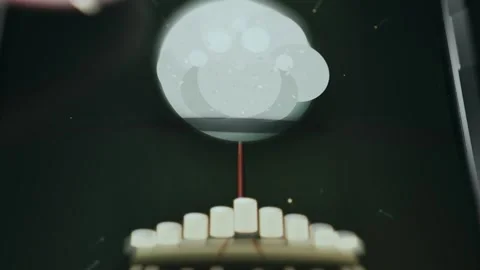Stylized wealth tree surrounded by stacks of gold coins Видео 335896839