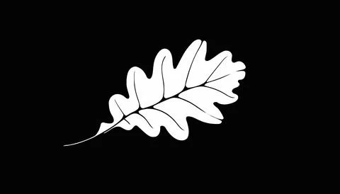 Stylized white oak leaf on a black background Stock Illustration