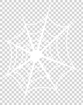 Stylized white spider web is floating on transparent background, featuring Stock Illustration