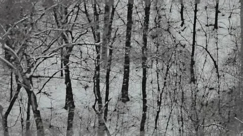 Stylized winter background Vidéo 8837902