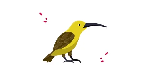 Stylized yellow bird icon with a long beak isolated on white background Stock Footage 345826466
