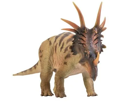 Styracosaurus  Dinosaur on isolate background Stock Photos