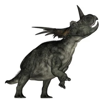 Styracosaurus dinosaur roaring - 3D render Stock Illustration