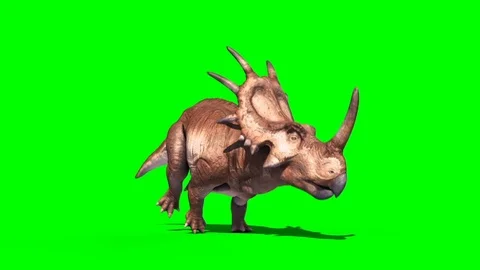 Styracosaurus Triceratops Run Perspective Static Loop Dinosaurs Jurassic Gree Stock Footage 89657657