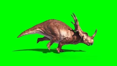 Styracosaurus Triceratops Run Side Static Loop Dinosaurs Jurassic Green Scree Stock Footage 89657659