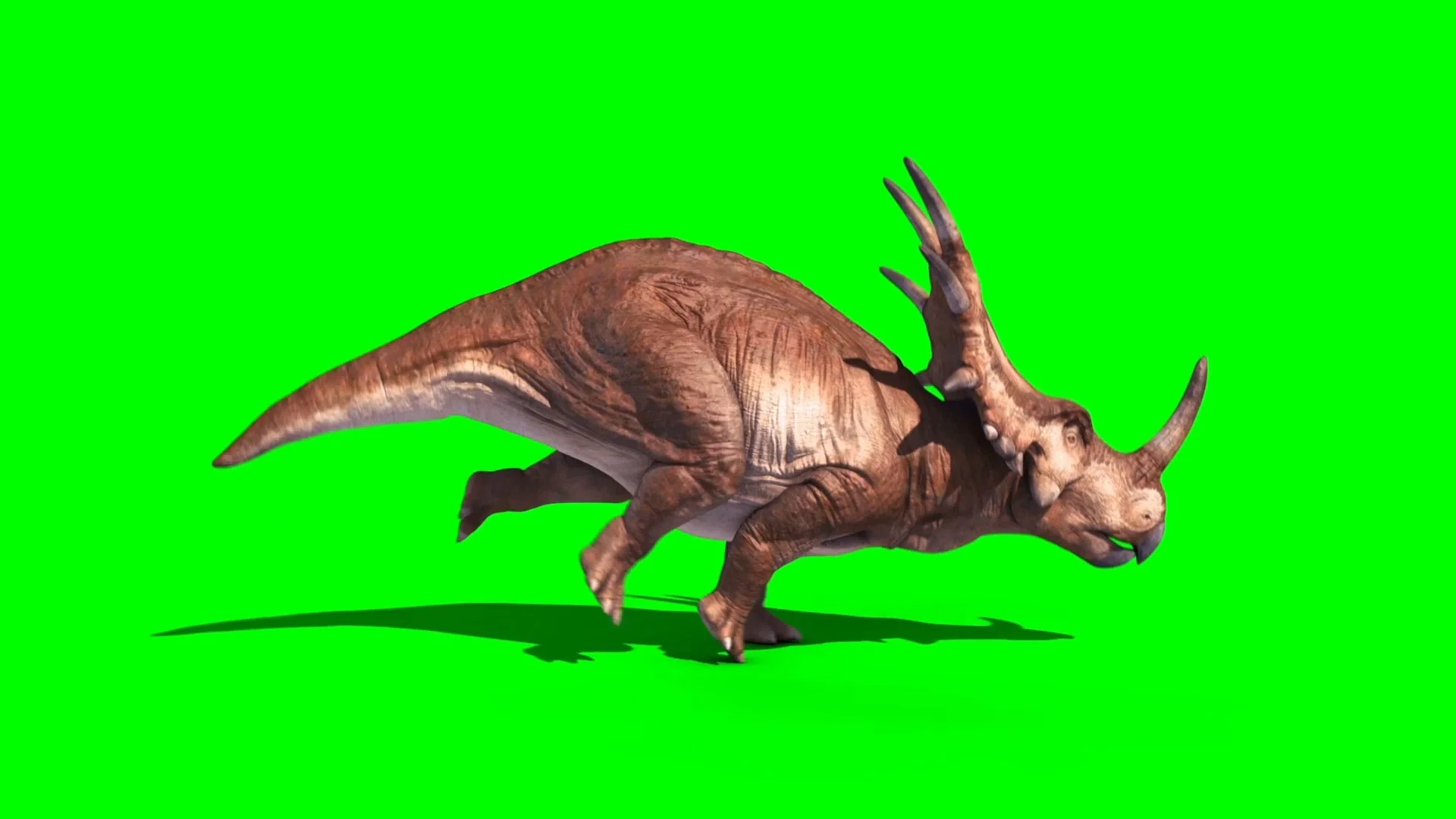 Dino Runners Triceratops