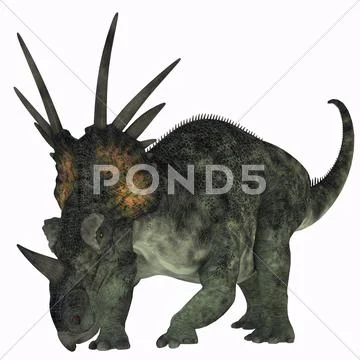 Styracosaurus on white Stock Illustration