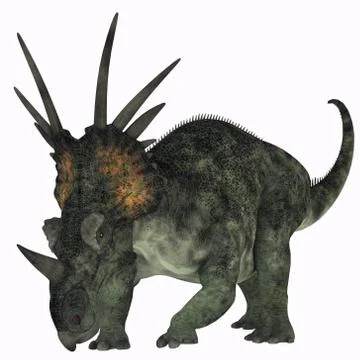 Styracosaurus on white Stock Illustration