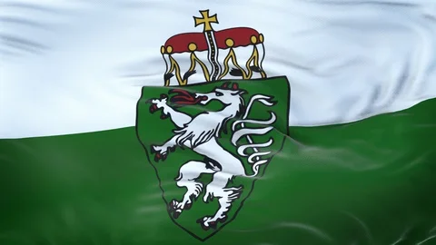 Styria (state of Austria) flag waving in the wind with detailed texture. 動画素材 129388011