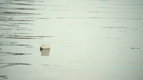 Styrofoam block floating on peaceful river water, symbolizing pollution and Vidéo 339813324