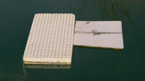 Styrofoam board floating in dirty water Stock Footage 145408683