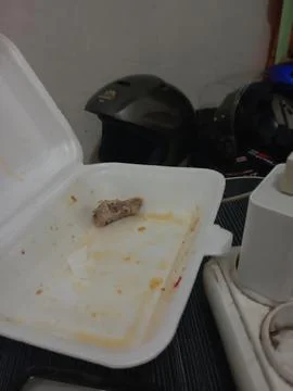 Styrofoam box Stock Photos