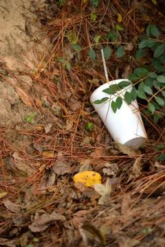 Styrofoam cup in ditch Stock Photos