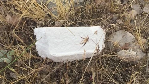 Styrofoam Litter and garbage in the desert Stock Footage 134907688