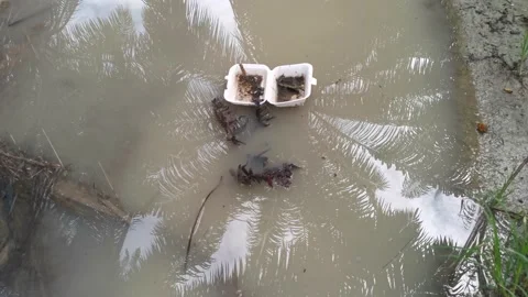 Styrofoam object floating  Video stock 159783874