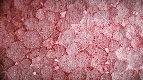 Styrofoam Surface in Soft Pink Stock Photos