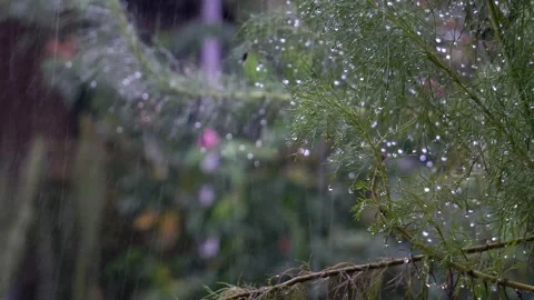 Su kadi Stock Footage 273954781