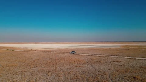 Sua Pan Stock Footage 310173529