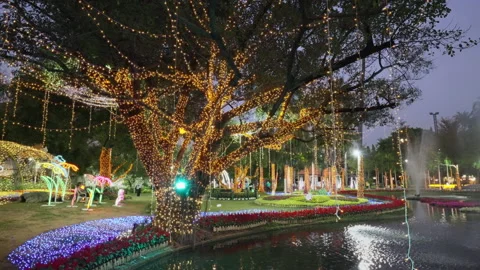 Suan Buak Had lights Stock Footage 170349876