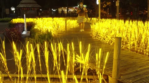 Suan Buak Had lights Stock Footage 170477757