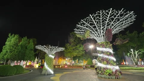 Suan Buak Had lights Stock Footage 170504943