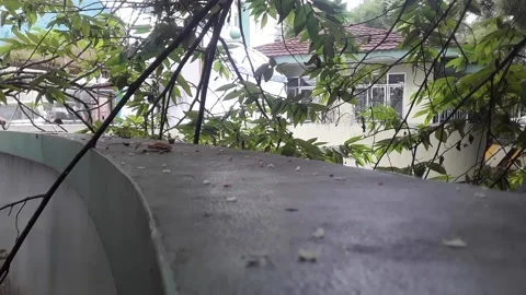 Suasana kantor Stock Footage 232089991