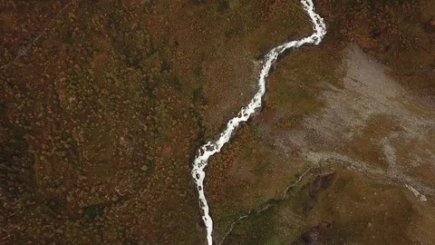 Sub-Alpine Back Country in a Delicate Palette of Autumn Colors Stock Footage 83098200