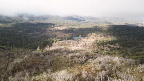 Sub-alpine Forest Surrounded by Hills and Mountains Vídeo Stock 208818475