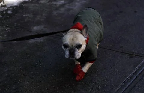 Sub Zero Temperatures New York, USA - 07 Jan 2018 Stock Photos