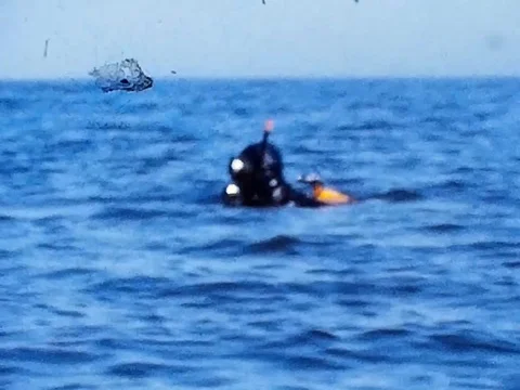 SubaDiver breaks the surface of the ocean 1970s 스톡 동영상 85226701