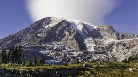 Subalpine meadow and Mount Rainier south side from Skyline Trail Zoom In Stock Footage 318099851