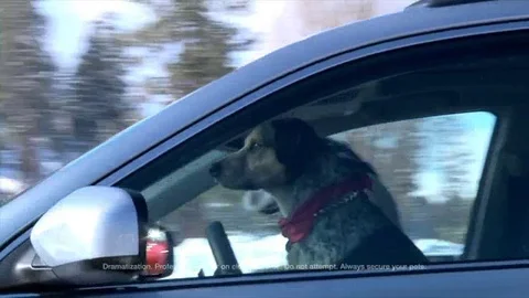 Subaru Stock Footage 121859112