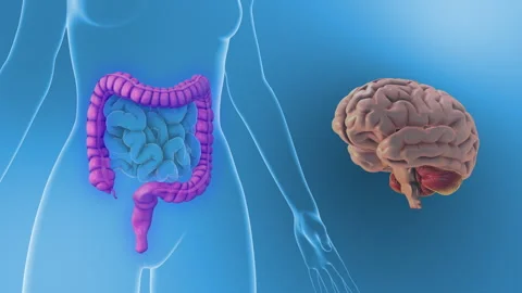 Subconscious Brain Impact on Intestinal Function Triggers IBS 스톡 동영상 311226380