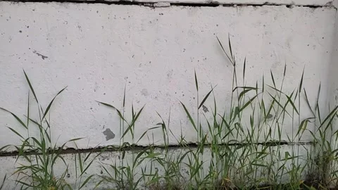 Subjective shooting of the wall for 3D tracking of text and subtitles Stock Footage 276570526